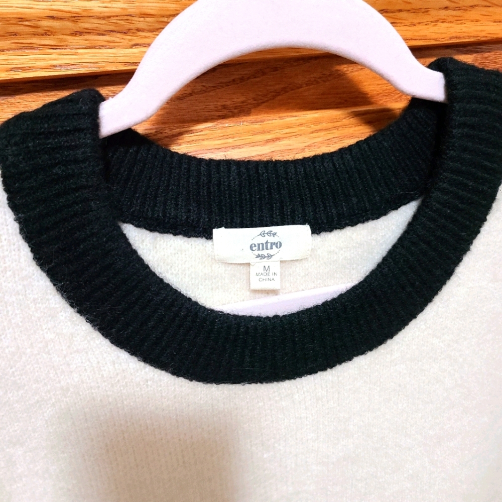 Entro Sweater - image 4